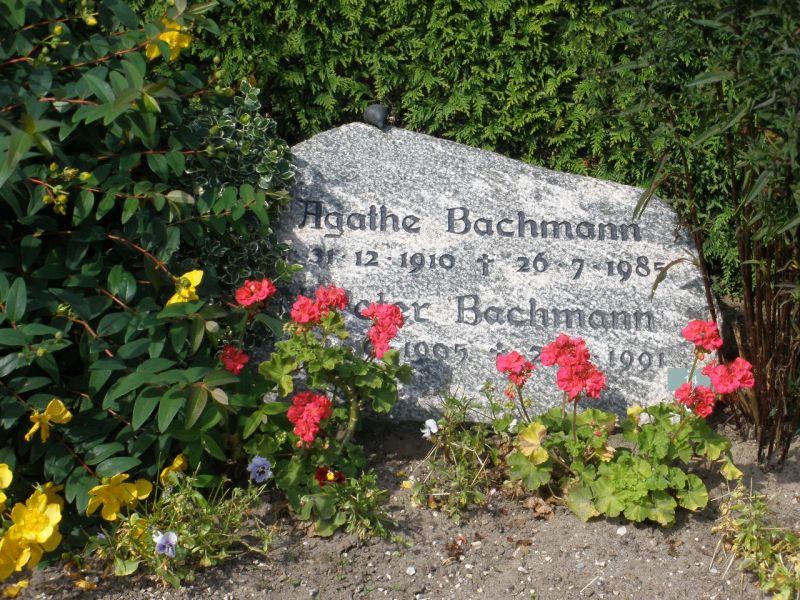 Peter Bachmann.JPG